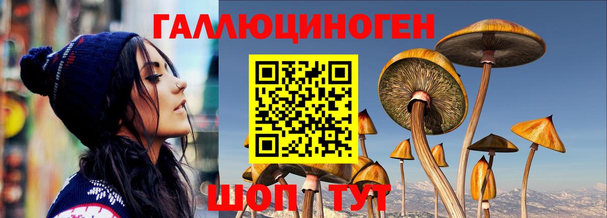 Галлюциногенные грибы Magic Shrooms  Вход с VPN  Звенигород  Псилоцибиновые грибы Magic Shrooms 