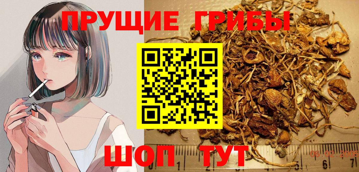 Псилоцибиновые грибы Magic Shrooms Звенигород